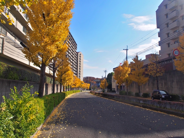 街並み